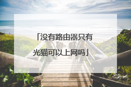 没有路由器只有光猫可以上网吗