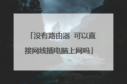 没有路由器 可以直接网线插电脑上网吗