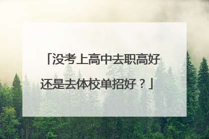 没考上高中去职高好还是去体校单招好？