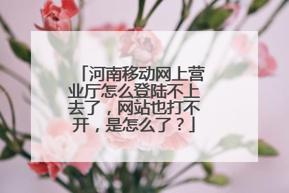 河南移动网上营业厅怎么登陆不上去了,网站也打不开,是怎么了?