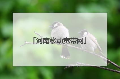 河南移动宽带网