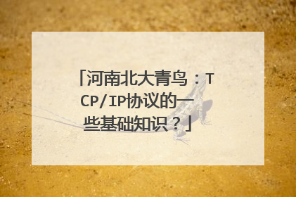 河南北大青鸟：TCP/IP协议的一些基础知识？