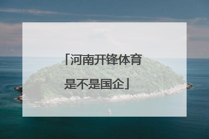 河南开锋体育是不是国企