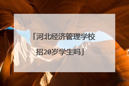 河北经济管理学校招20岁学生吗