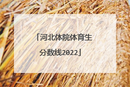 河北体院体育生分数线2022