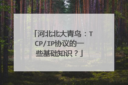 河北北大青鸟:TCP/IP协议的一些基础知识?
