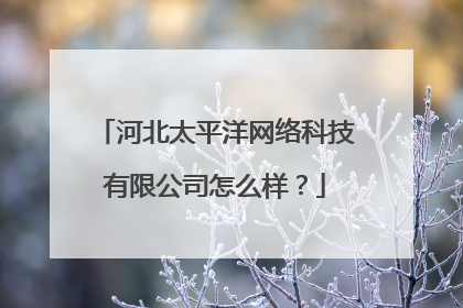 河北太平洋网络科技有限公司怎么样?