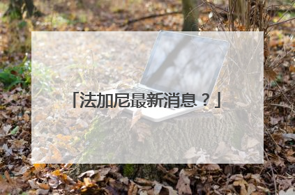 法加尼最新消息？