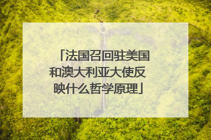 法国召回驻美国和澳大利亚大使反映什么哲学原理