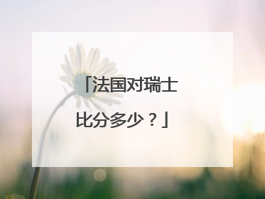 法国对瑞士比分多少？