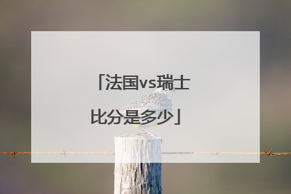 法国vs瑞士比分是多少