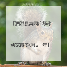 泗洪县富园广场移动宽带多少钱一年