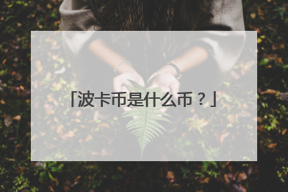 波卡币是什么币？