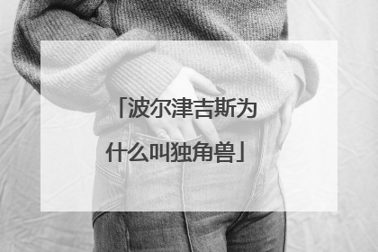 波尔津吉斯为什么叫独角兽