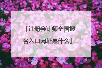 注册会计师全国报名入口网址是什么