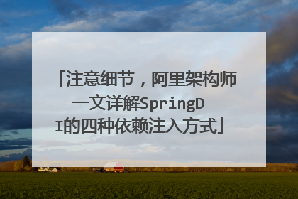 注意细节，阿里架构师一文详解SpringDI的四种依赖注入方式