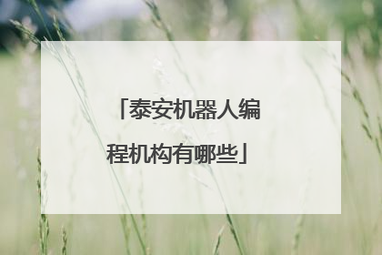 泰安机器人编程机构有哪些