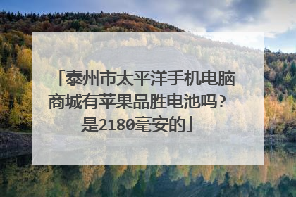 泰州市太平洋手机电脑商城有苹果品胜电池吗?是2180毫安的