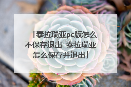 泰拉瑞亚pc版怎么不保存退出 泰拉瑞亚怎么保存并退出