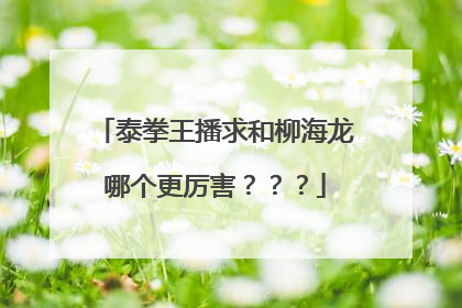 泰拳王播求和柳海龙哪个更厉害？？？