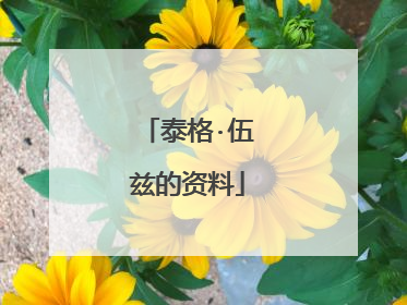 泰格·伍兹的资料