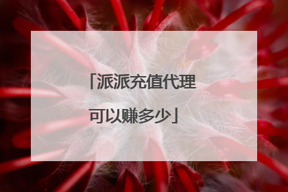 派派充值代理可以赚多少