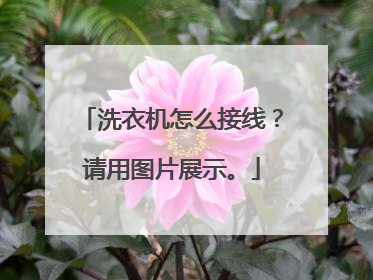 洗衣机怎么接线?请用图片展示。