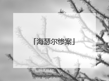 海瑟尔惨案