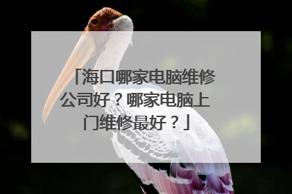 海口哪家电脑维修公司好?哪家电脑上门维修最好?