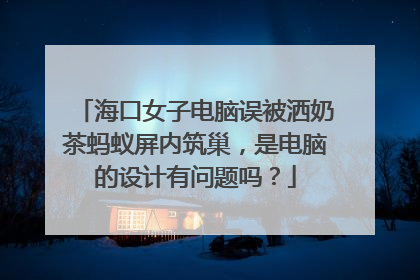 海口女子电脑误被洒奶茶蚂蚁屏内筑巢,是电脑的设计有问题吗?