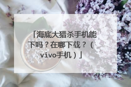 海底大猎杀手机能下吗?在哪下载?(vivo手机)