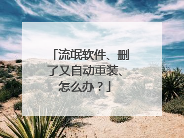 流氓软件、删了又自动重装、怎么办?