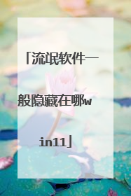流氓软件一般隐藏在哪win11