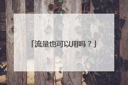 流量也可以用吗?