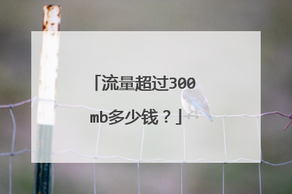 流量超过300mb多少钱？