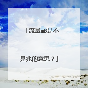 流量mB是不是兆的意思？