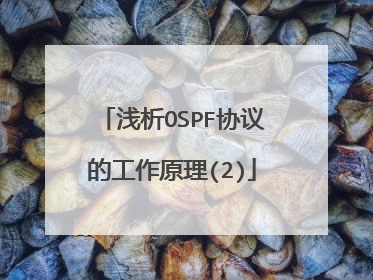 浅析OSPF协议的工作原理(2)