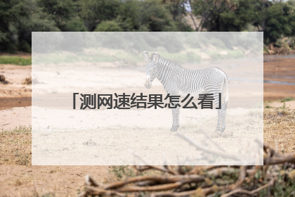 测网速结果怎么看