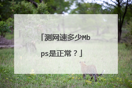 测网速多少Mbps是正常？