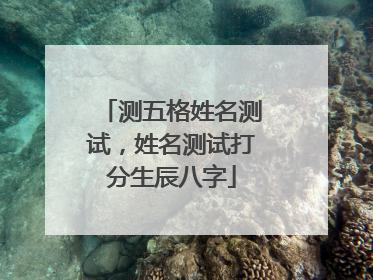 测五格姓名测试,姓名测试打分生辰八字