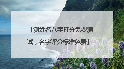 测姓名八字打分免费测试，名字评分标准免费