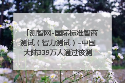 测智网-国际标准智商测试(智力测试)-中国大陆339万人通过该测试... 在这个地方测智商准吗??