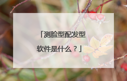 测脸型配发型软件是什么?