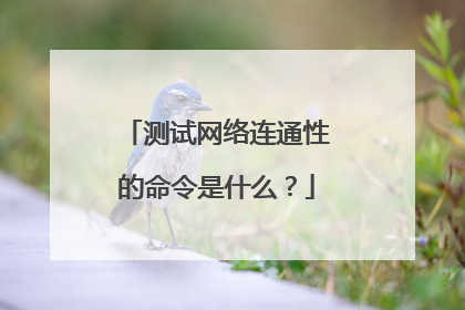 测试网络连通性的命令是什么?