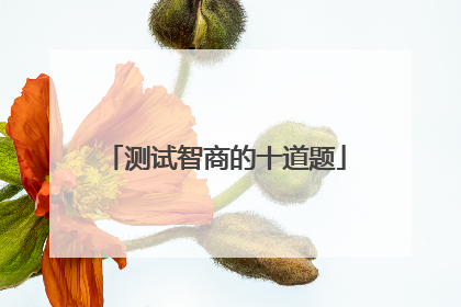 测试智商的十道题