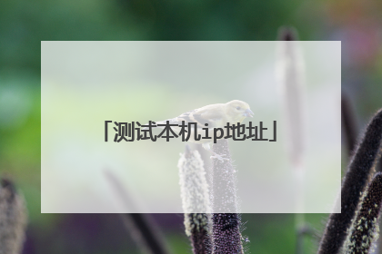 测试本机ip地址