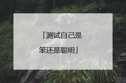 测试自己是笨还是聪明