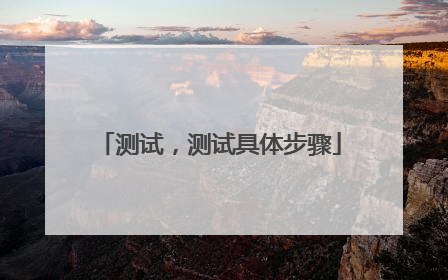 测试，测试具体步骤