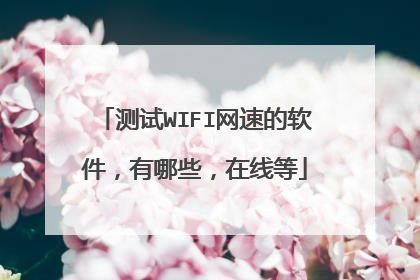 测试WIFI网速的软件,有哪些,在线等