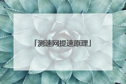 测速网提速原理